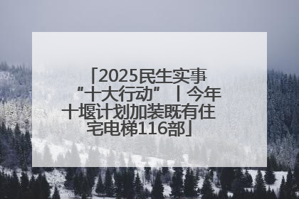 2025民生实事“十大行动”丨今年十堰计划加装既有住宅电梯116部